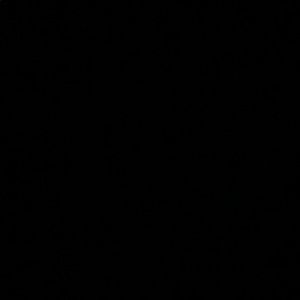 Meet your Posher, Sylvia